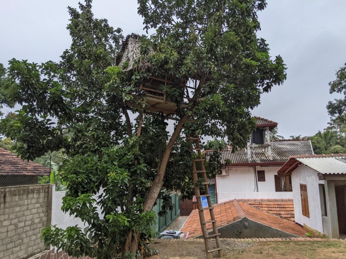 Serendip Villa Holiday Home Talalla Sri Lanka Exterior photo